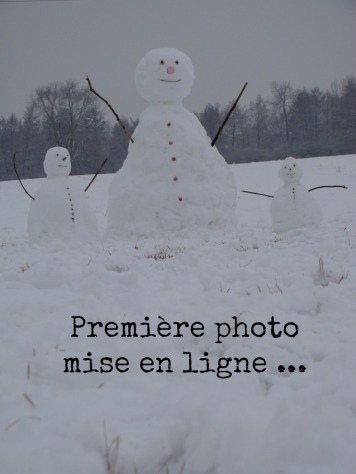 Bonhomme_de_neige_reglisse
